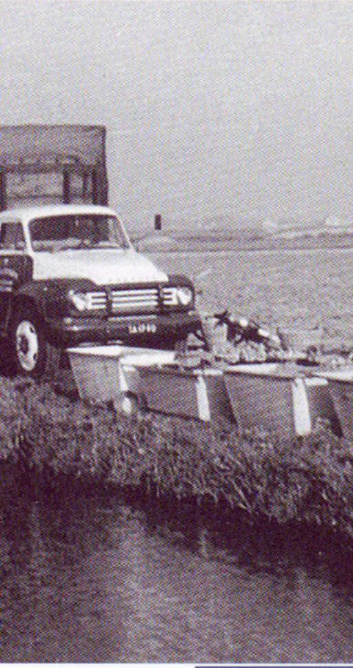 photo 03 12 2025 13 10 20 6 