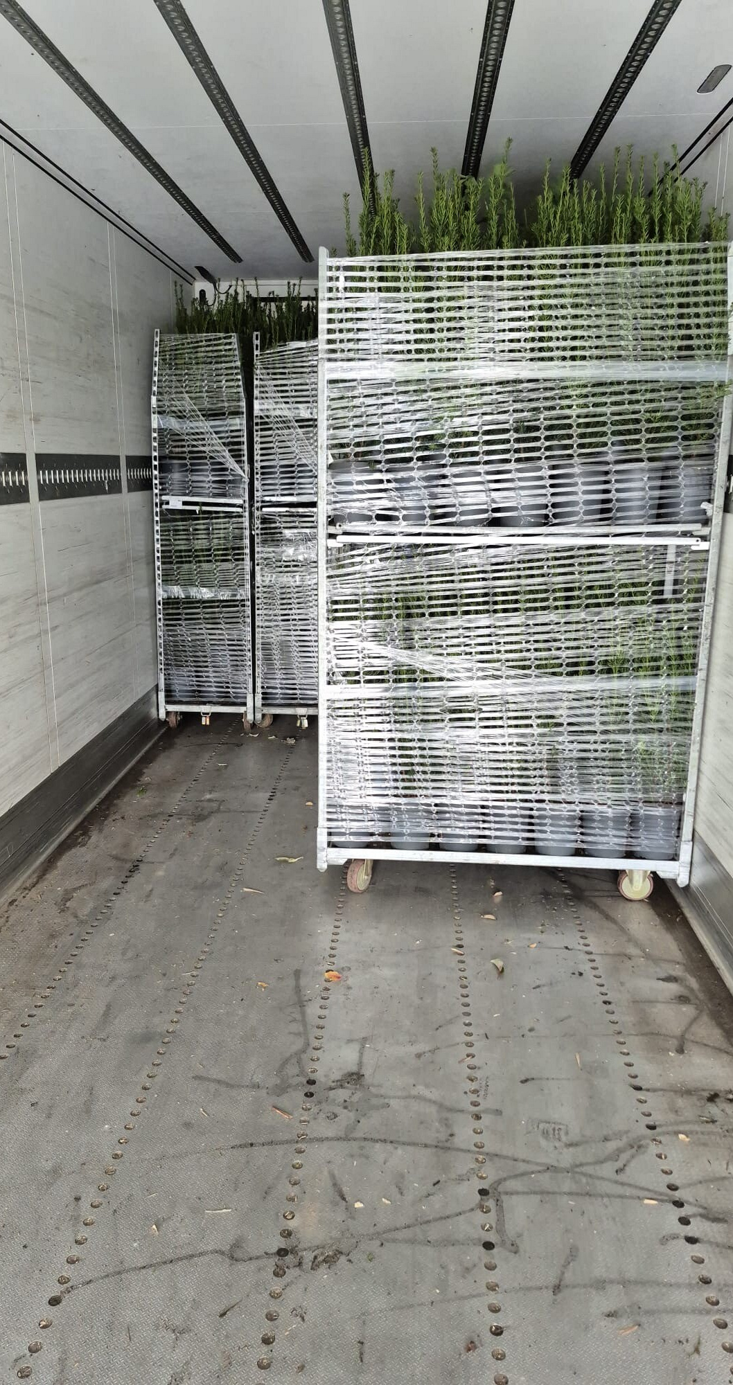 photo 26 11 2025 14 54 01 1 .jpg?1775199598&focus=53.75 57