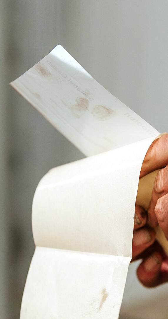 3424 lilian fotografie van dooren transport hillegom fotoshoot 2025 09 19 bewerkt website