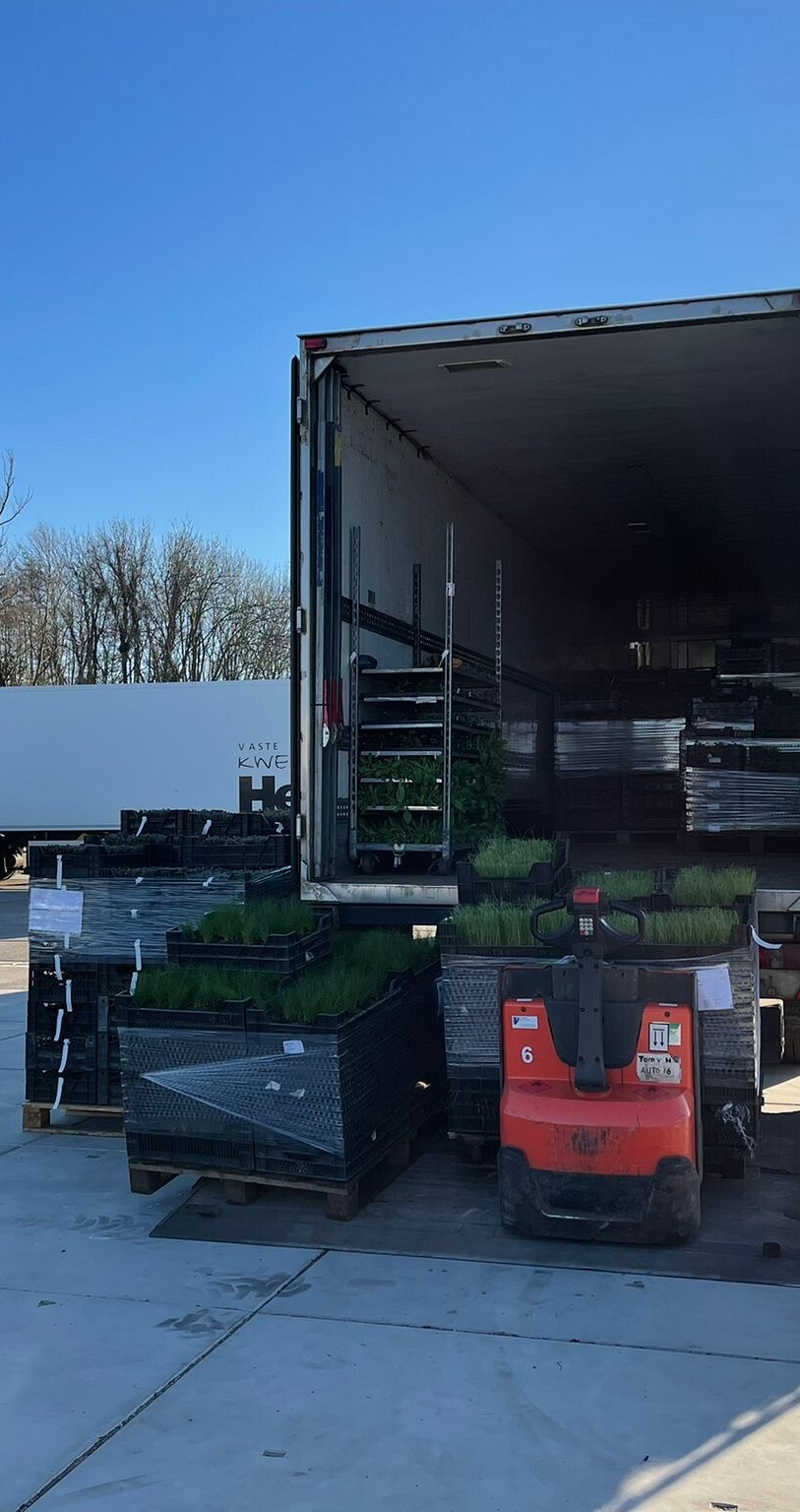 photo 08 03 2022 09 03 07