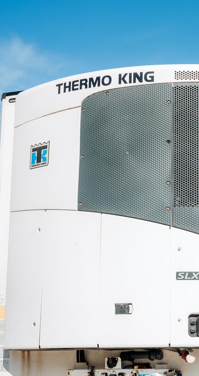 4157 lilian fotografie van dooren transport hillegom fotoshoot 2025 09 19 bewerkt.jpg?1773321871&focus=30.27 65