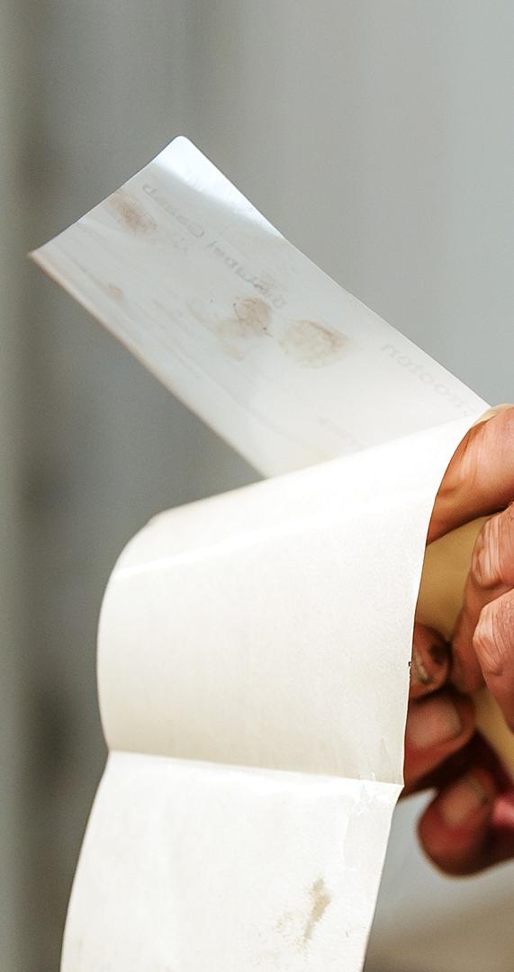 3424 lilian fotografie van dooren transport hillegom fotoshoot 2025 09 19 bewerkt website