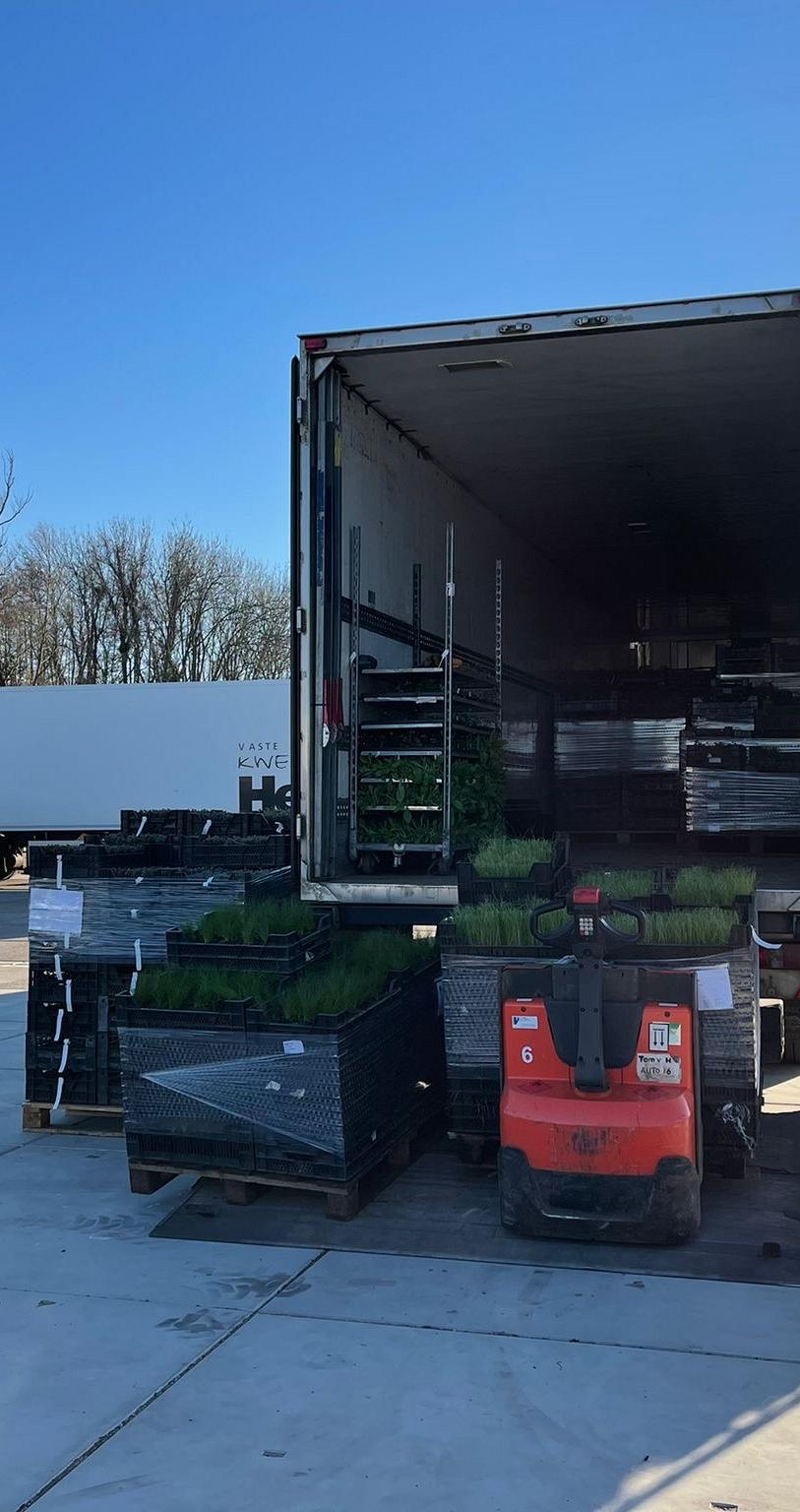 photo 08 03 2022 09 03 07