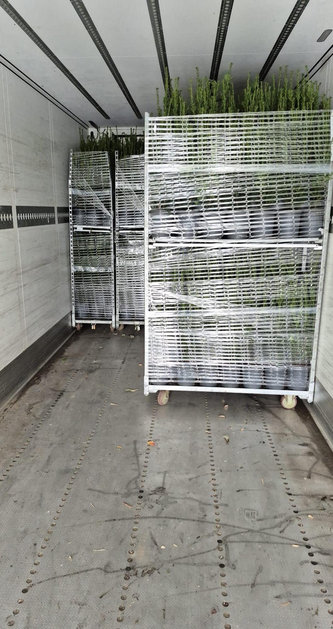 photo 26 11 2025 14 54 01 1 .jpg?1773321917&focus=53.75 57