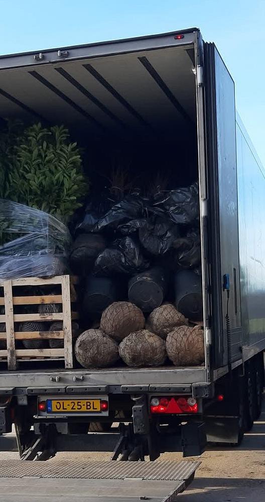 photo 03 12 2025 13 42 31