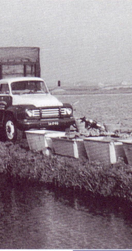 photo 03 12 2025 13 10 20 6 