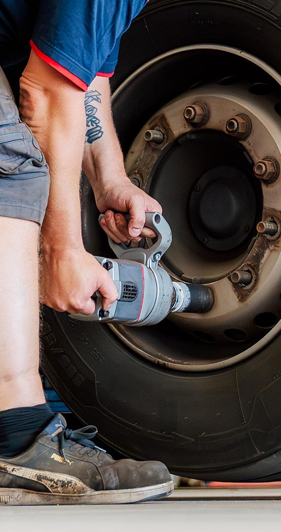 3830 lilian fotografie van dooren transport hillegom fotoshoot 2025 09 19 bewerkt website