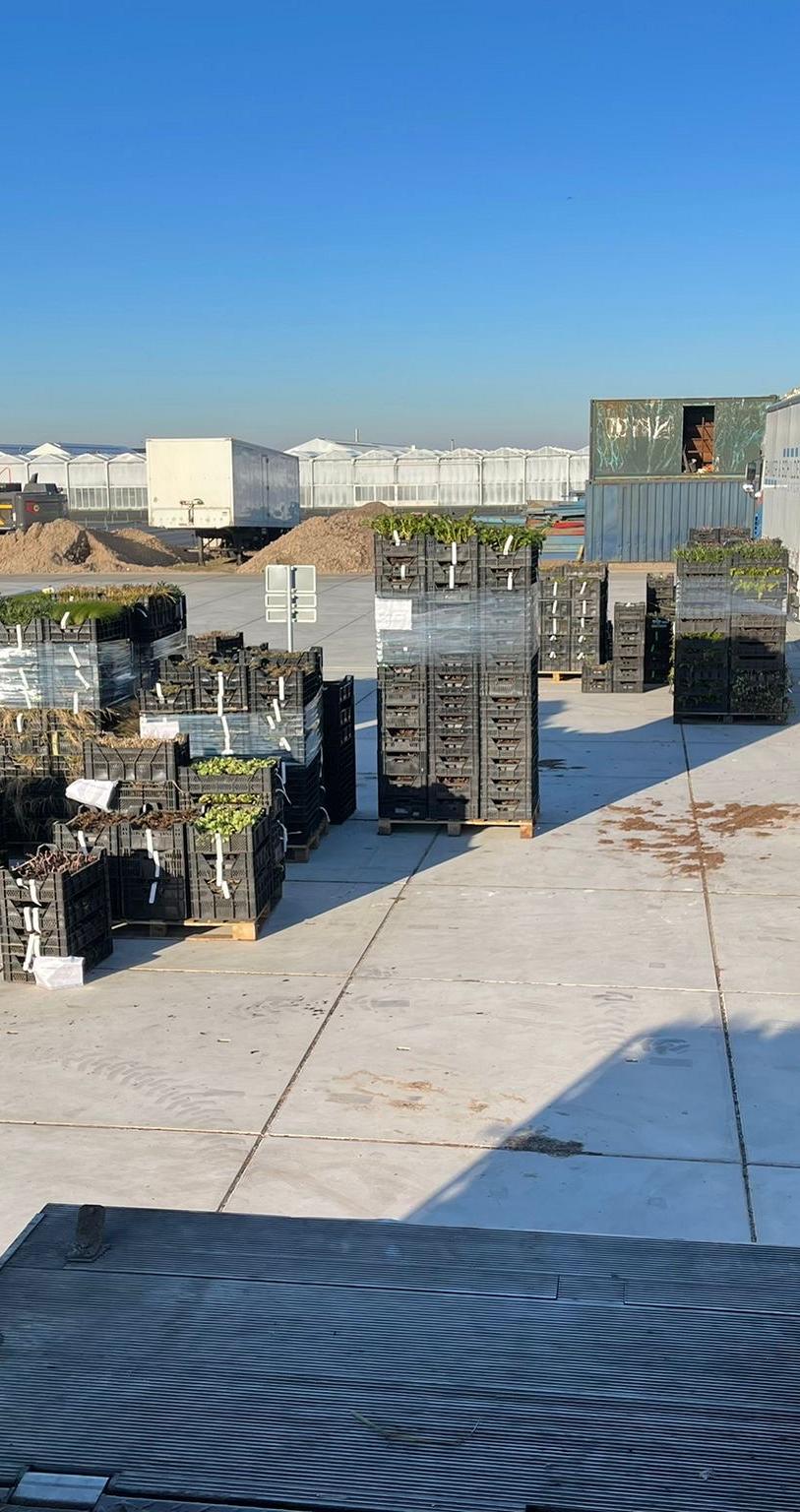 photo 08 03 2022 09 03 05