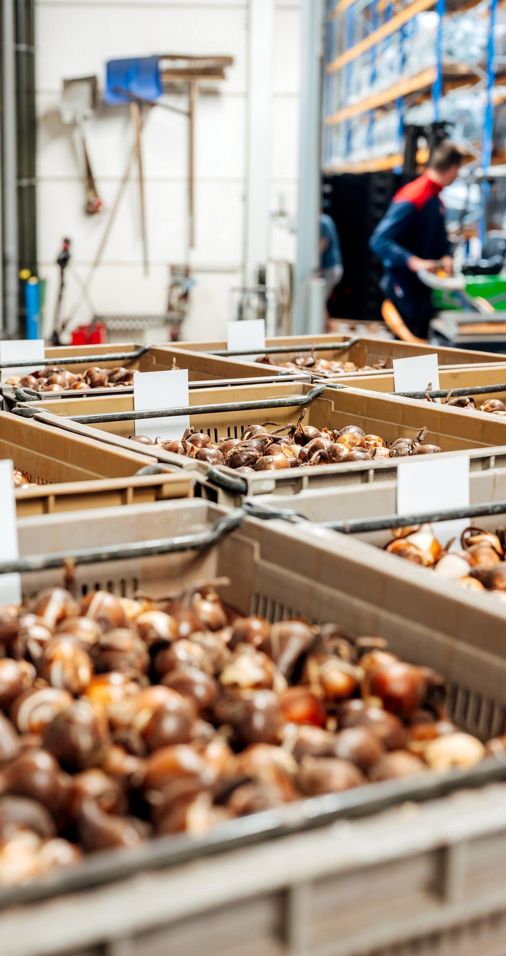 3476 lilian fotografie van dooren transport hillegom fotoshoot 2025 09 19 bewerkt.jpg?1773321810&focus=68.12 39