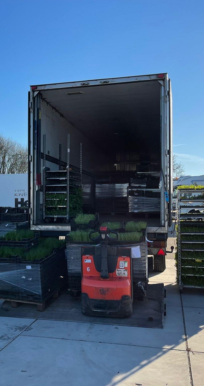 photo 08 03 2022 09 03 07.jpg?1773321949&focus=59.00 61