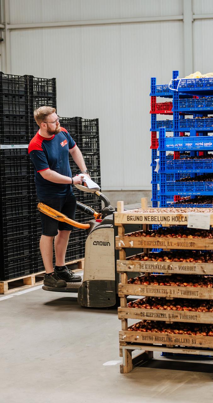 3455 lilian fotografie van dooren transport hillegom fotoshoot 2025 09 19 bewerkt.jpg?1773321810&focus=44.50 77