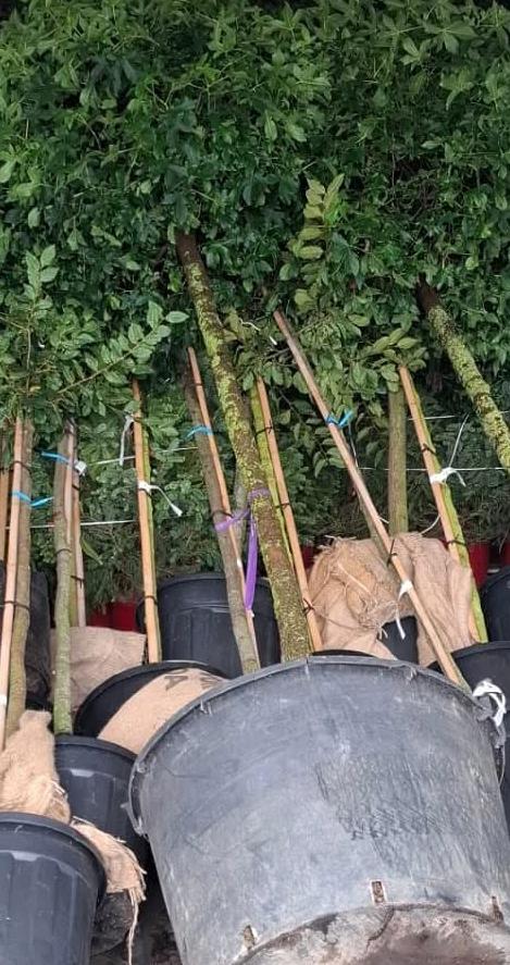 photo 03 12 2025 11 44 55