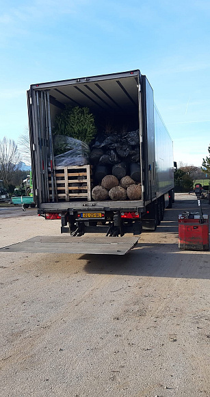 photo 03 12 2025 13 42 31