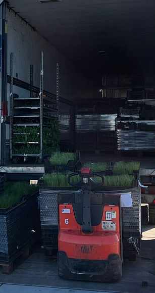 photo 08 03 2022 09 03 07