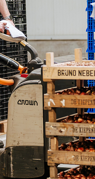 3455 lilian fotografie van dooren transport hillegom fotoshoot 2025 09 19 bewerkt website