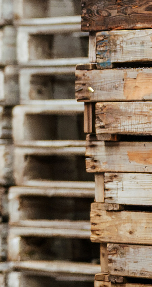 3533 lilian fotografie van dooren transport hillegom fotoshoot 2025 09 19 bewerkt website