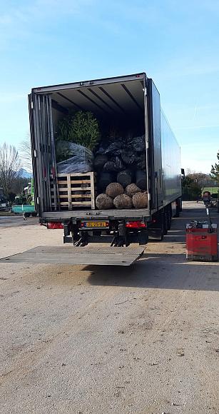 photo 03 12 2025 13 42 31