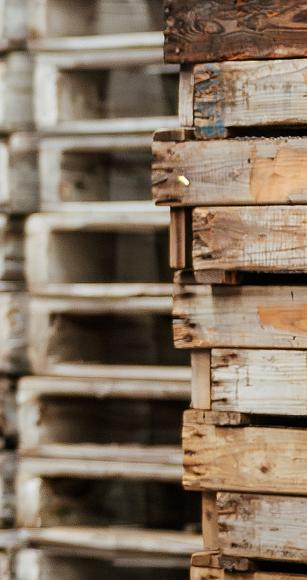 3533 lilian fotografie van dooren transport hillegom fotoshoot 2025 09 19 bewerkt website