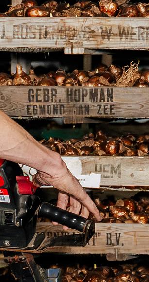 3523 lilian fotografie van dooren transport hillegom fotoshoot 2025 09 19 bewerkt website