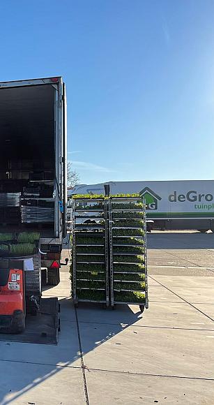 photo 08 03 2022 09 03 07.jpg?1773321811&focus=84.70 58