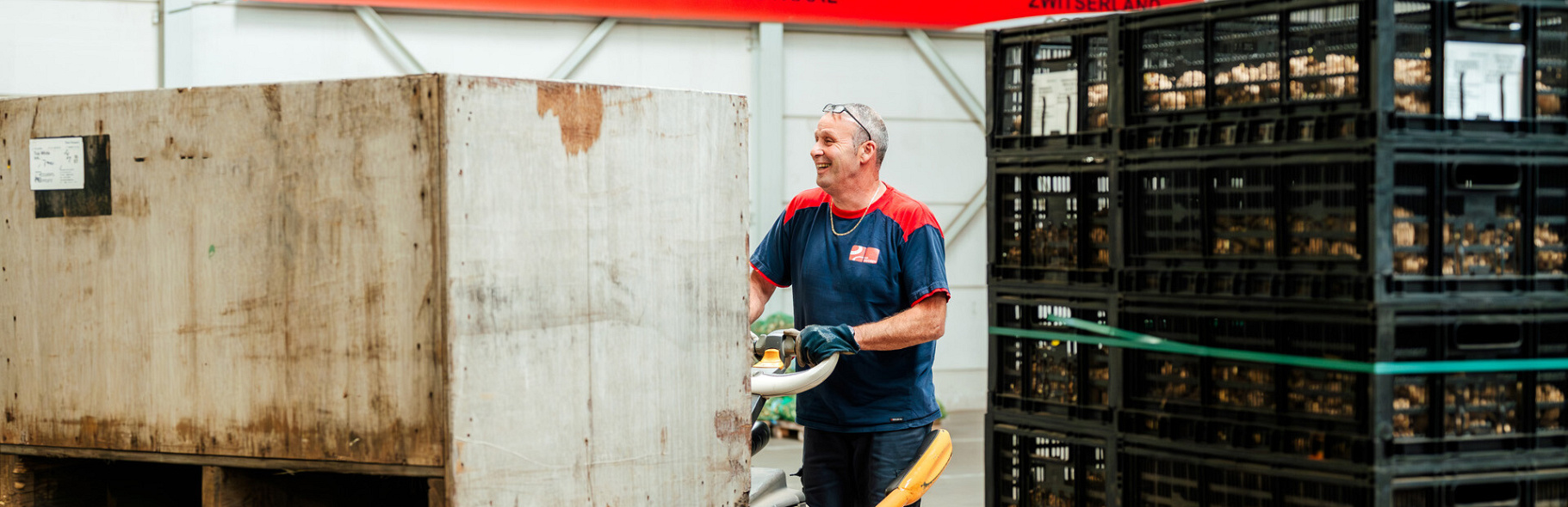 3733 lilian fotografie van dooren transport hillegom fotoshoot 2025 09 19 bewerkt