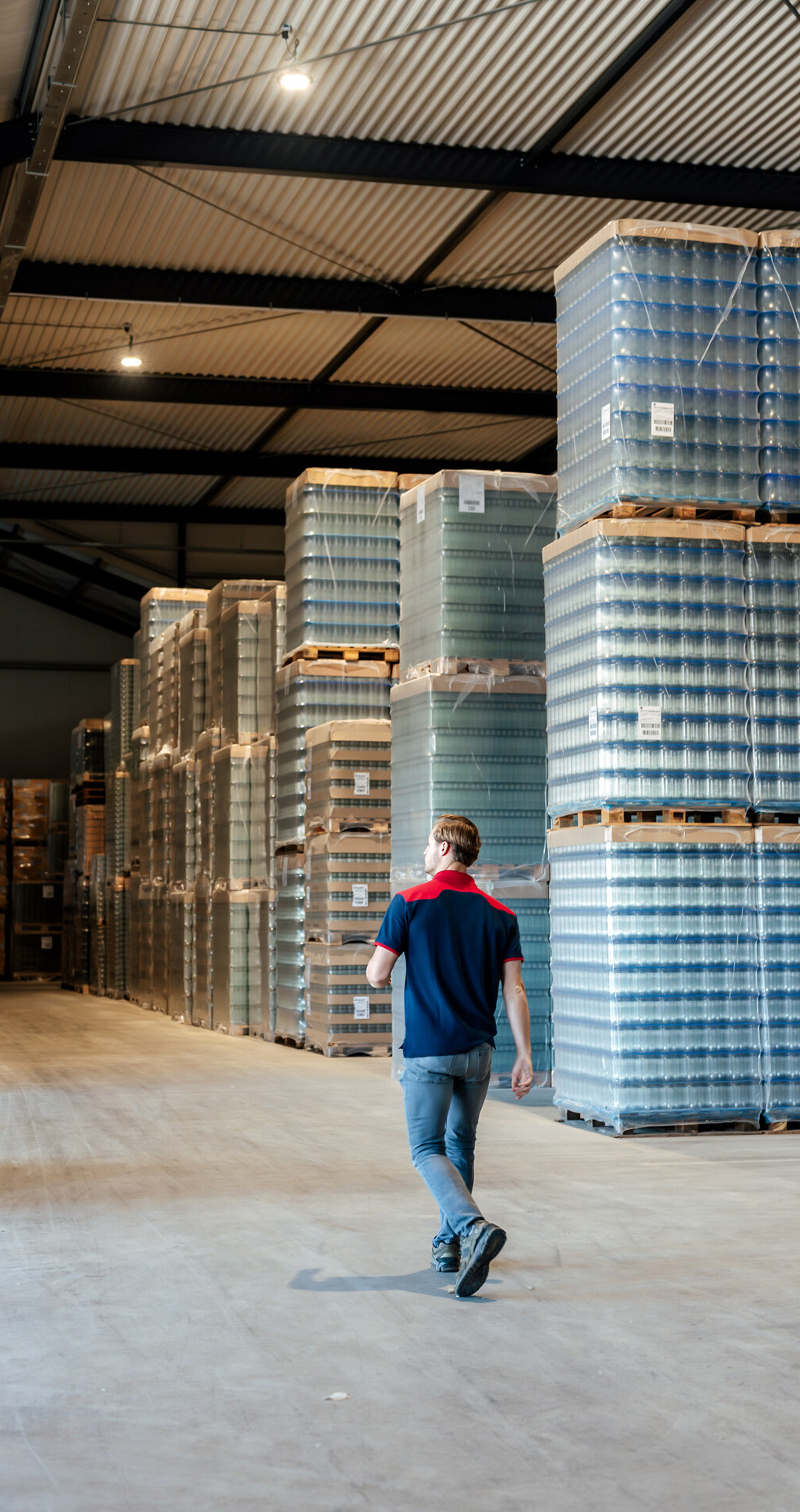 2923 lilian fotografie van dooren logistics lisse fotoshoot 2025 09 19 bewerkt