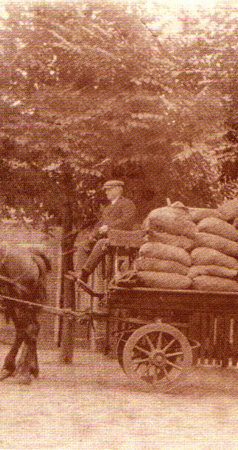 photo 03 12 2025 13 10 20 3 