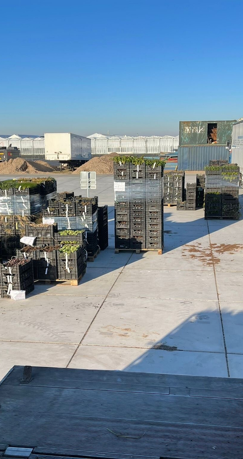 photo 08 03 2022 09 03 05