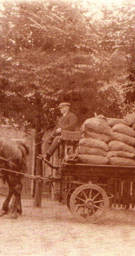 photo 03 12 2025 13 10 20 3 