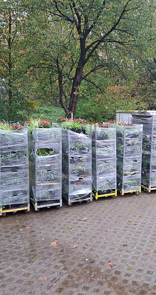 photo 02 12 2025 14 20 26