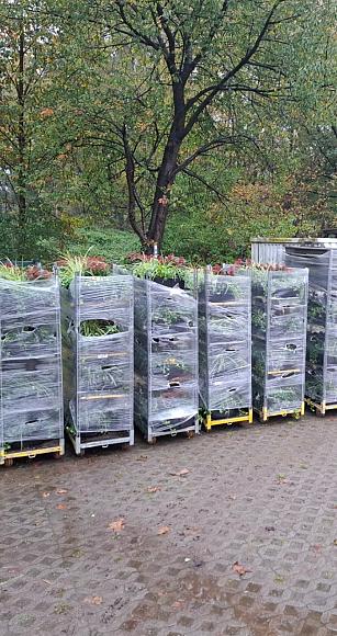 photo 02 12 2025 14 20 26