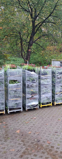 photo 02 12 2025 14 20 26