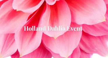 Holland Dahlia Event